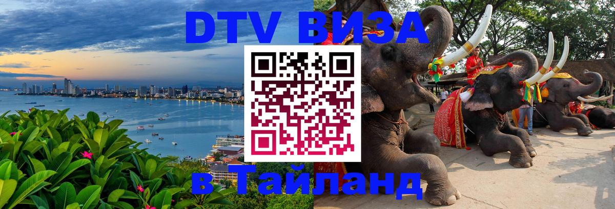 Оформление DTV визы под ключ: стоимость и тарифы, только загранпаспорт - 20.11.2025 